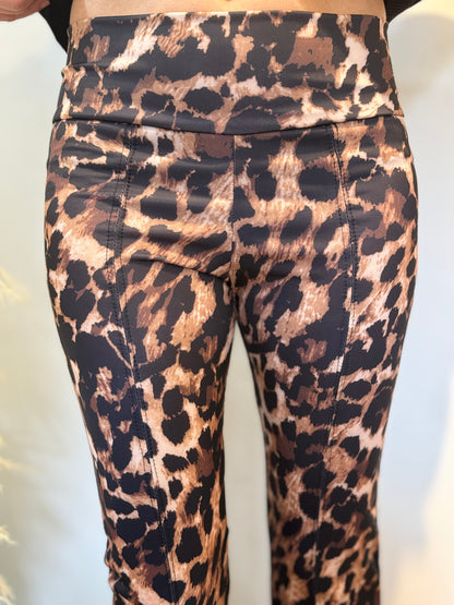 Patas Amelie Leopardo